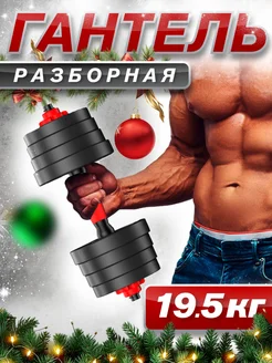 Гантели разборные 19,5 кг 1 шт спортивный инвентарь мужской FitnessActive 158454170 купить за 2 058 ₽ в интернет-магазине Wildberries