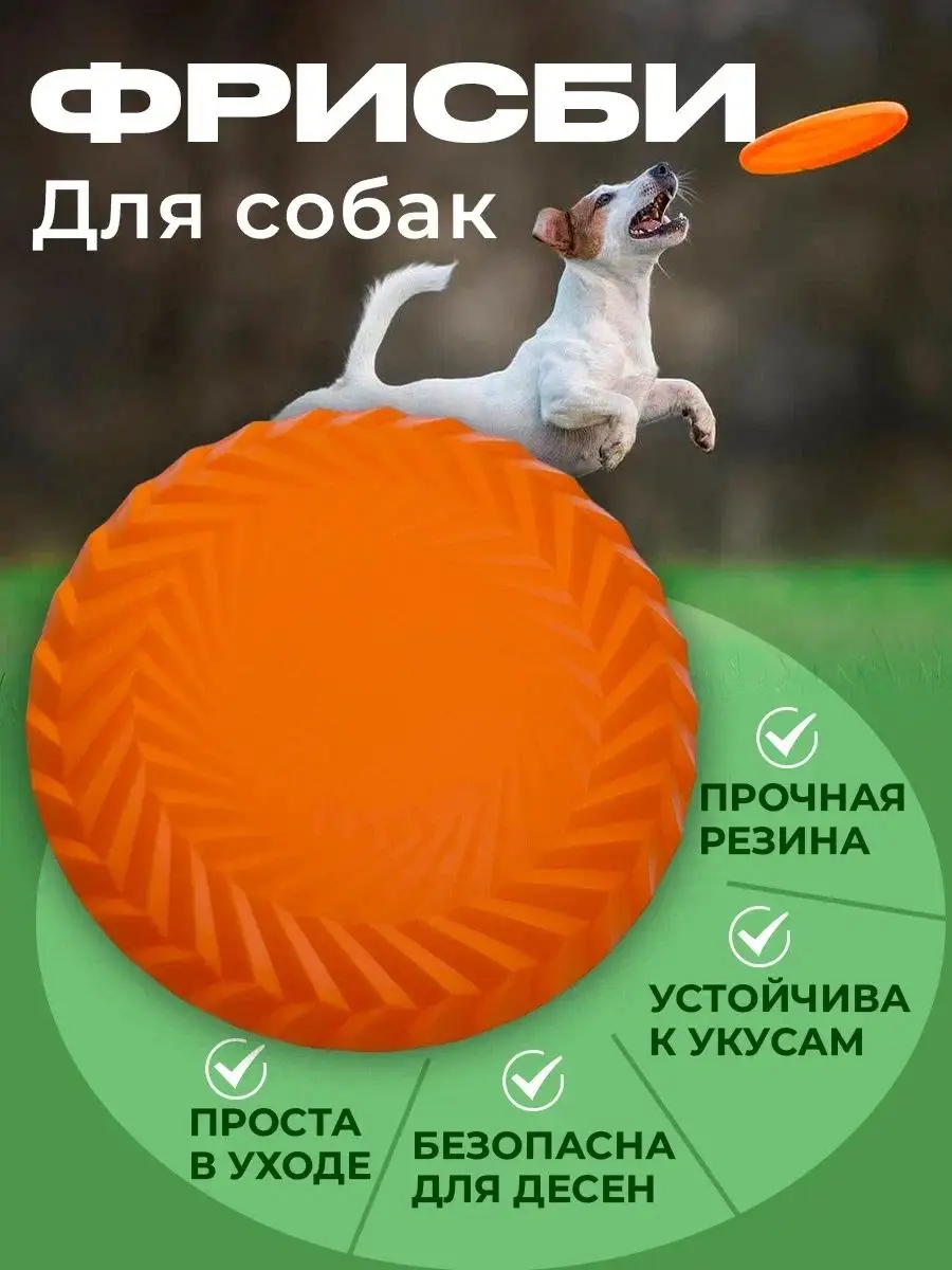 Игрушка для собак Фрисби летающая тарелка для собак Pets store 158469142  купить за 364 ₽ в интернет-магазине Wildberries