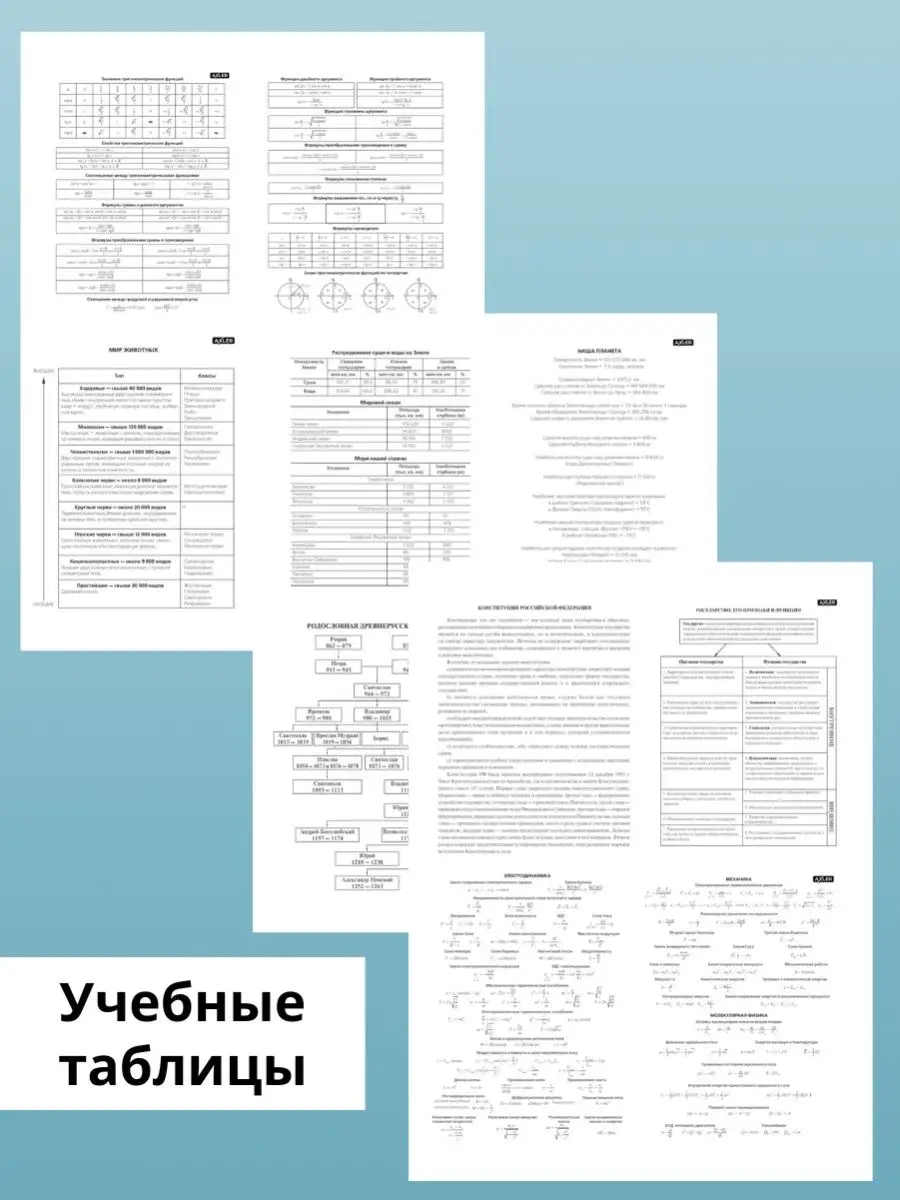 Тетрадь в клетку линейку 48 листов предметные набор А5 общие AХLER  158522531 купить за 684 ₽ в интернет-магазине Wildberries