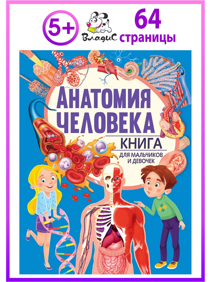 Анатомия человека. Книга для мальчиков и девочек Владис 158527446 купить за  261 ₽ в интернет-магазине Wildberries