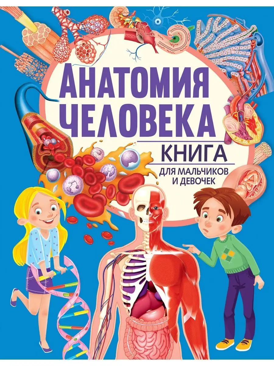 Анатомия человека. Книга для мальчиков и девочек Владис 158527446 купить за  249 ₽ в интернет-магазине Wildberries