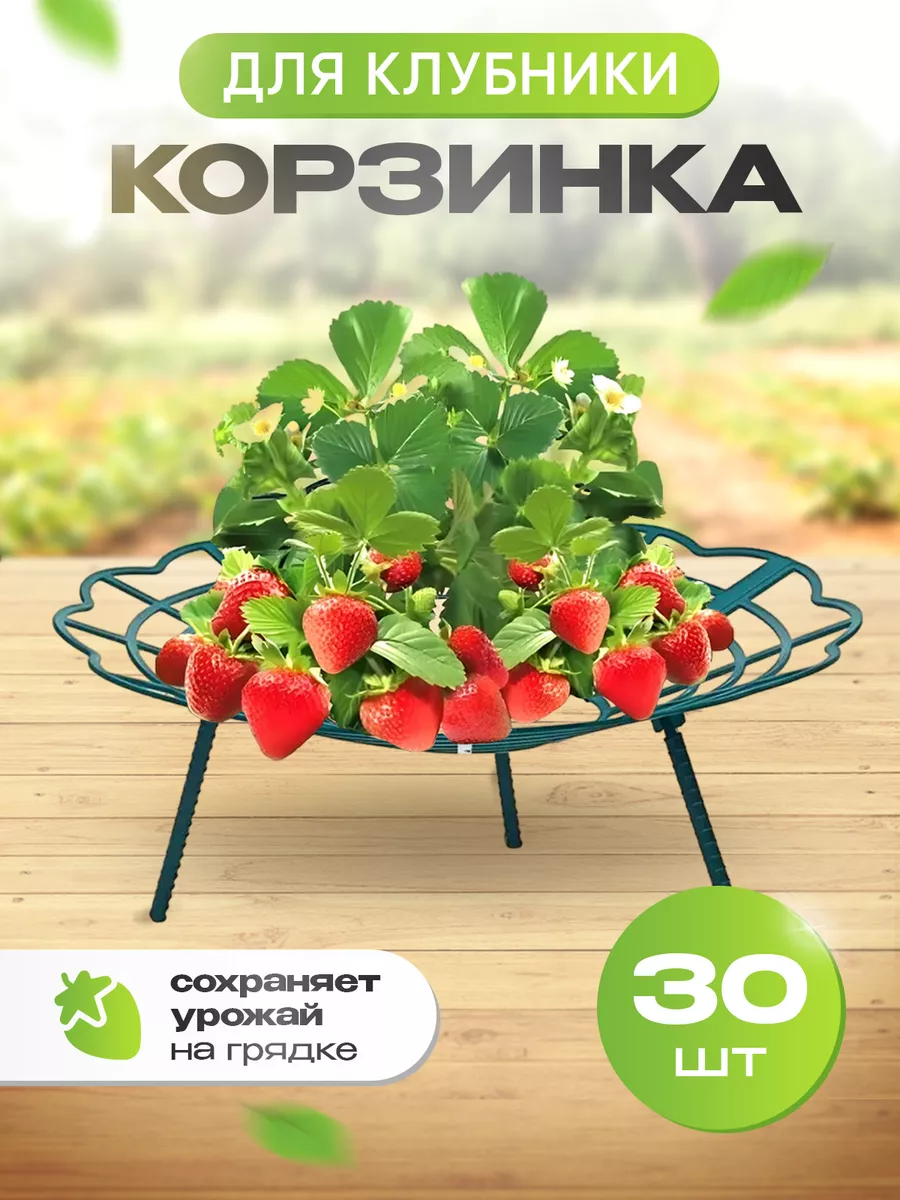 Держатель для клубники For Garden 30 х 30 см