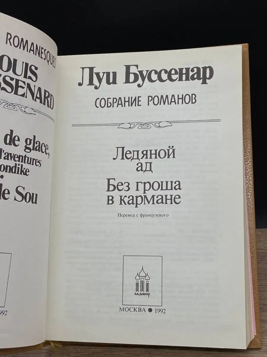 Ледяной ад. Без гроша в кармане Ладомир 158641961 купить за 132 ₽ в  интернет-магазине Wildberries