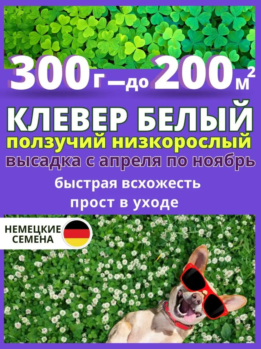 Белый клевер ползучий семена для газона низкорослый Semena 158721016 купить  за 1 062 ₽ в интернет-магазине Wildberries