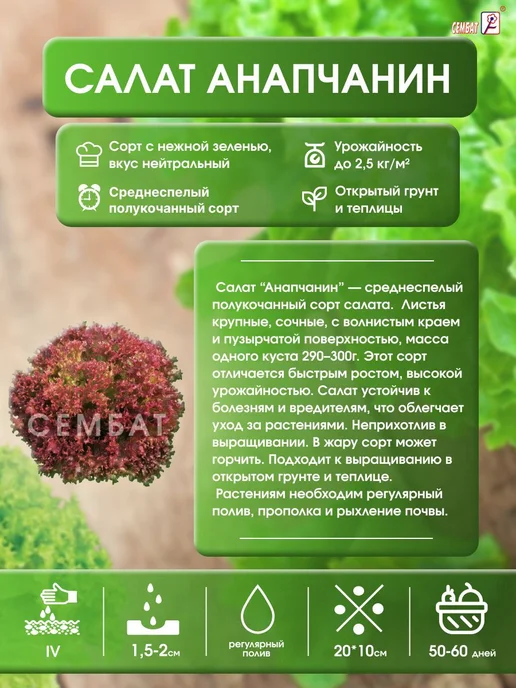 Сембат чб Салат Анапчанин 0.5г Семена, 0,5 г