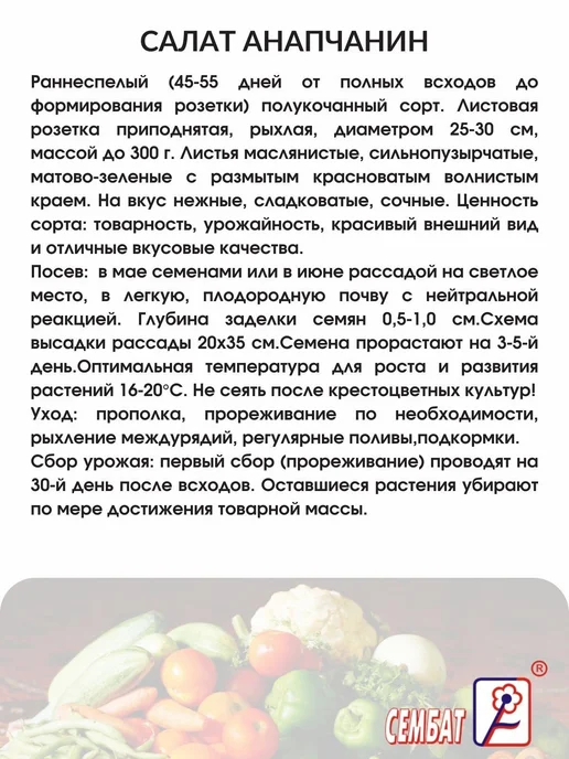 Сембат чб Салат Анапчанин 0.5г Семена, 0,5 г, фото 2