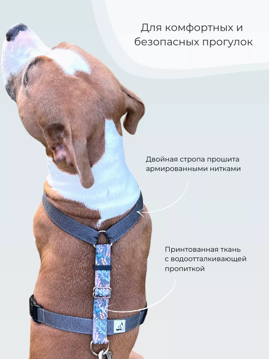 Шлейка анатомическая для собак Rafa Petshop 158865207 купить за 1 964 ₽ в  интернет-магазине Wildberries