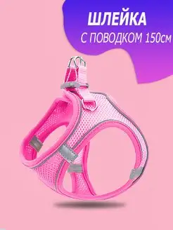 Шлейка для кошек и собак с поводком амуниция для прогулки KINGDOM pets 158887020 купить за 414 ₽ в интернет-магазине Wildberries