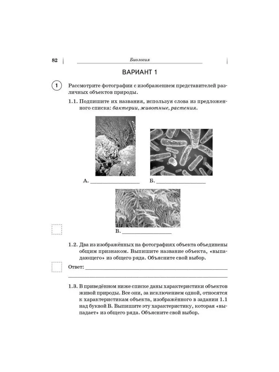 ВПР. 5 класс. Русский язык, математика, история, биология ЛЕГИОН 158893443  купить за 359 ₽ в интернет-магазине Wildberries