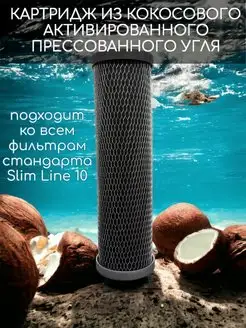 Картридж для воды из кокосового угля BL COC 10SL NASHFILTER 158901851 купить за 245 ₽ в интернет-магазине Wildberries