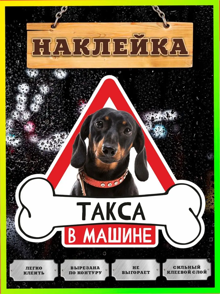 Наклейка на авто, Такса в машине Злая собака 158948448 купить за 249 ₽ в  интернет-магазине Wildberries