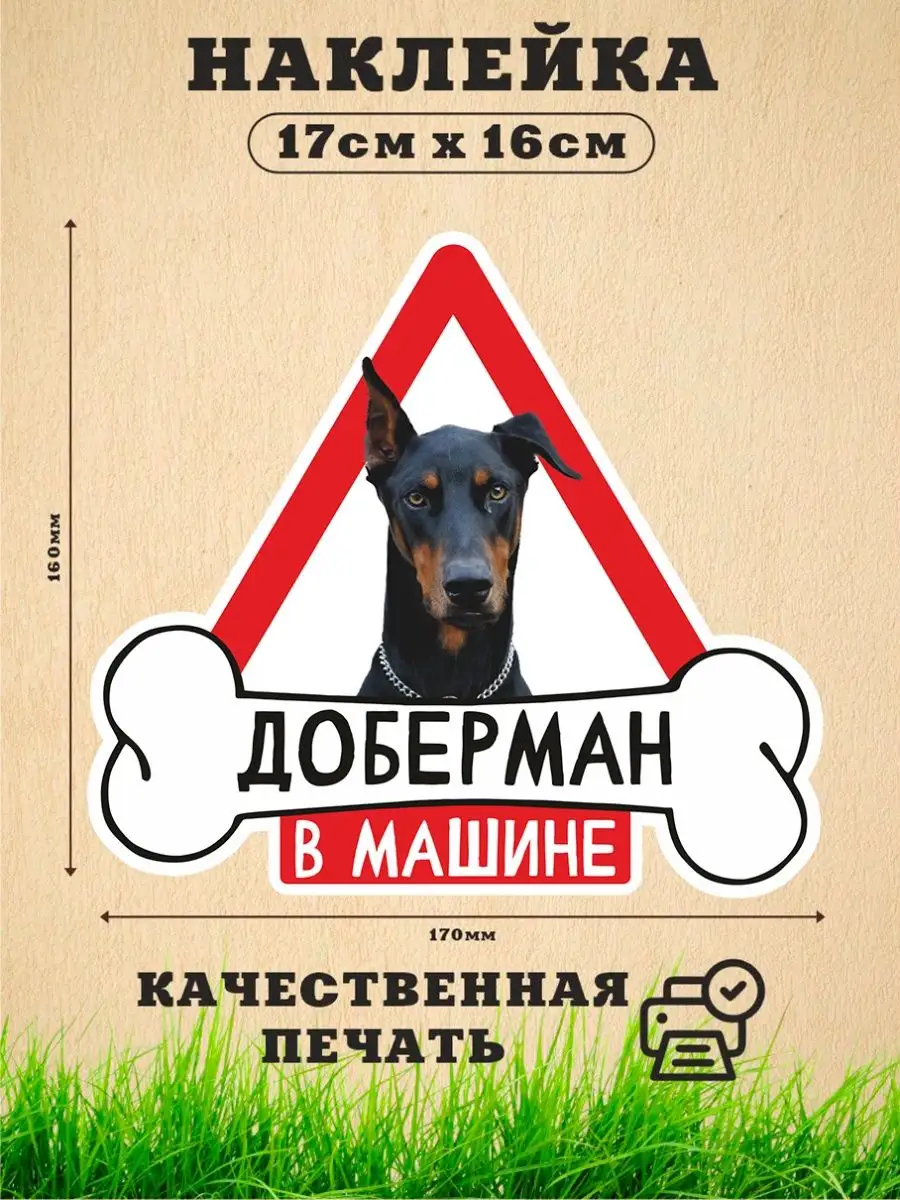 Наклейка на авто, Доберман в машине Злая собака 158948451 купить за 249 ₽ в  интернет-магазине Wildberries