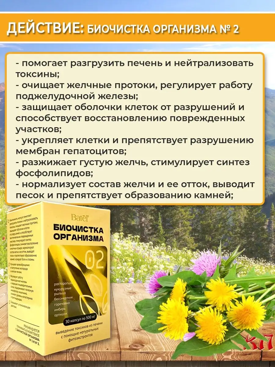 Биочистка организма №2 выведение токсинов из печени 30 капс Batel 158953567  купить за 801 ₽ в интернет-магазине Wildberries