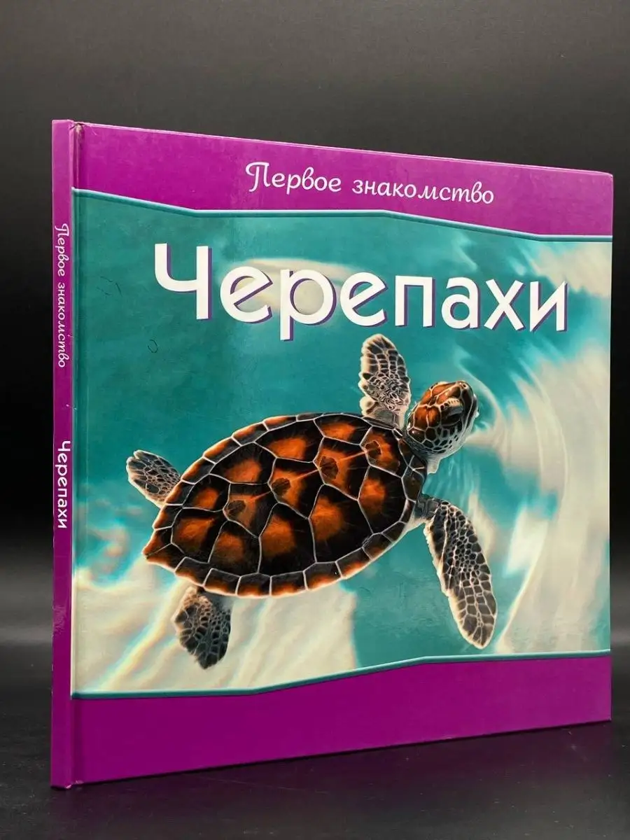 Секс с русской после знакомства дома - смотреть русское порно видео бесплатно