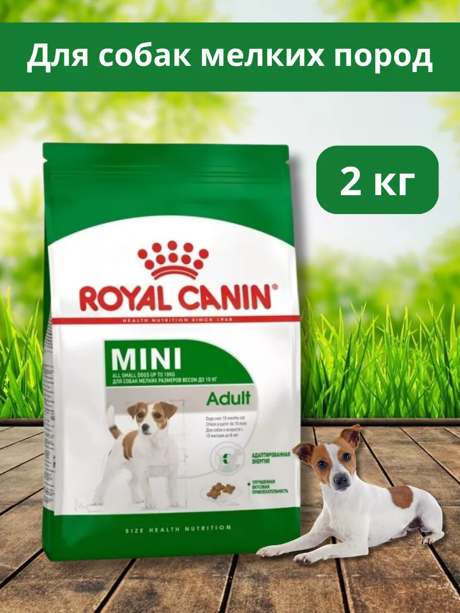 ROYAL CANIN Royal canin сухой корм для взрослых собак мелких пород 2 кг