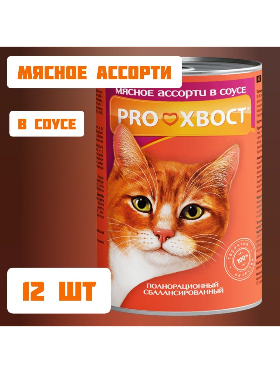 Прохвост рязань. PROХВОСТ. Прохвост корм для кошек. Прохвост человек. Прохвост лого.