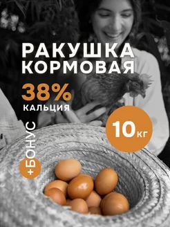 Ракушка морская для курей и птиц КРУПОВИЧОК 159091297 купить за 274 ₽ в интернет-магазине Wildberries