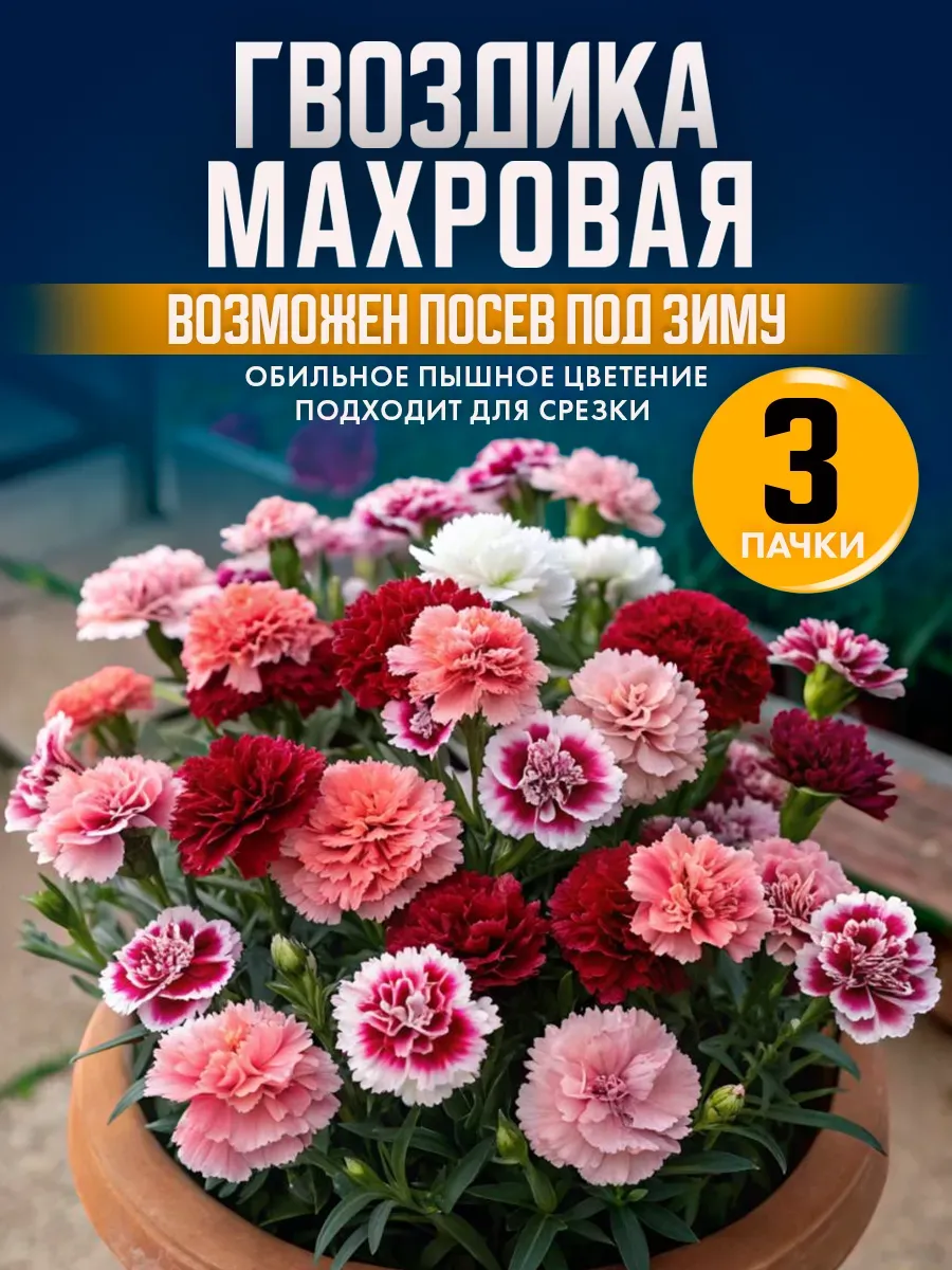 Семена цветов гвоздики