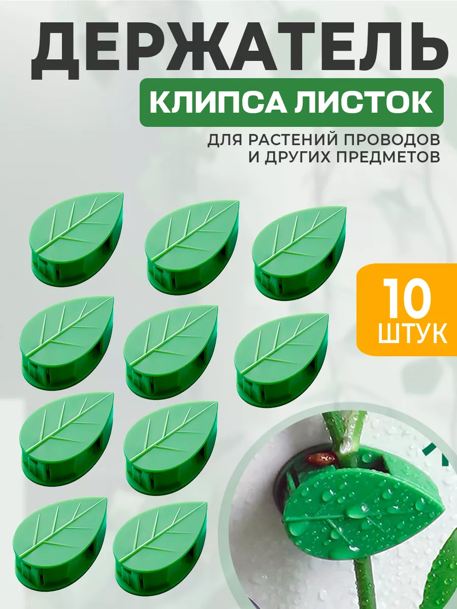 Держатели для растений на стену / самоклеящиеся клипсы Razilya 159171206  купить за 195 ₽ в интернет-магазине Wildberries