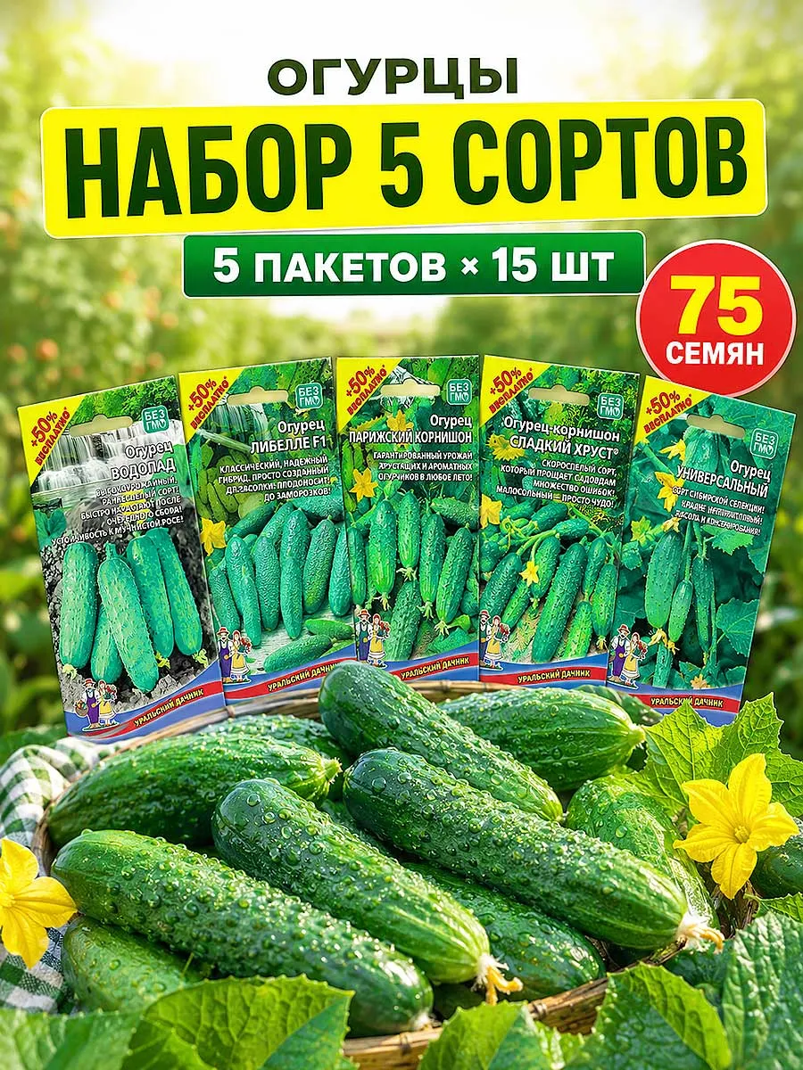 Семена огурцов 5 пакетoв неприхотливыe урожайные
