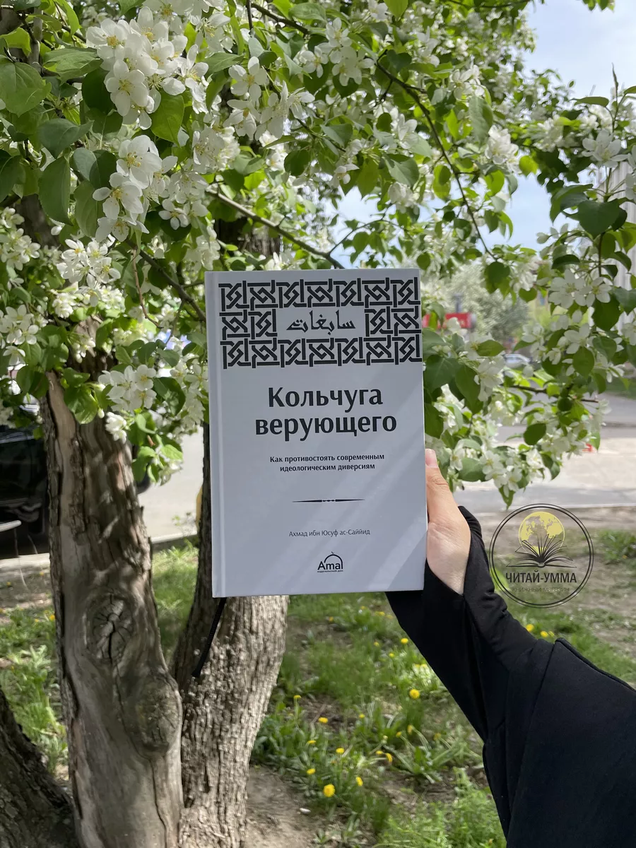 Книга Кольчуга верующего / Исламская акида / Ислам ЧИТАЙ-УММА 159233369  купить за 545 ₽ в интернет-магазине Wildberries