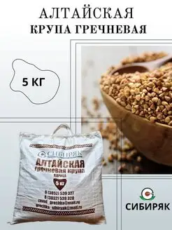 Гречка Алтайская ядрица быстроразваривающаяся 5 кг СИБИРЯК 159281861 купить за 392 ₽ в интернет‑магазине Wildberries