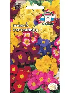 Примула Скромница СеДек 159291146 купить за 140 ₽ в интернет-магазине Wildberries