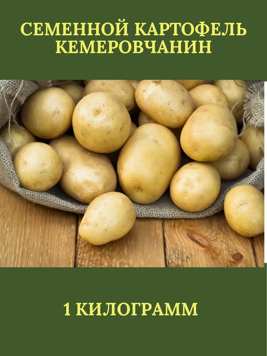 Где В Липецке Можно Купить Семенной Картофель