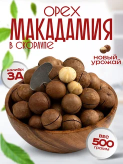 Макадамия Fructoff 159334112 купить за 828 ₽ в интернет-магазине Wildberries