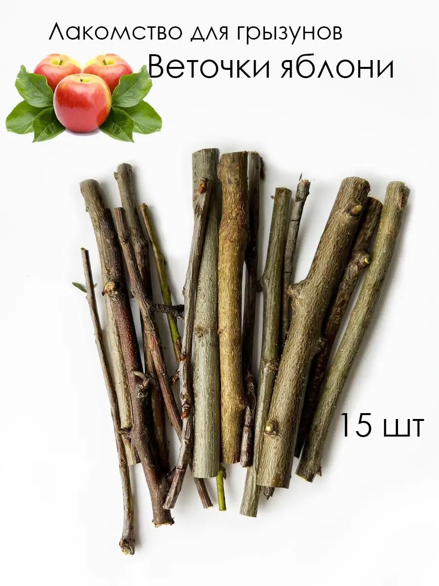 Ветки палочки для грызунов крыс морских свинок