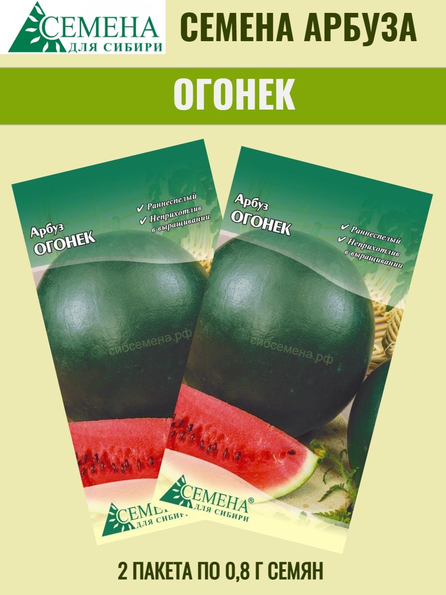 Сорт арбуза огонек. Семена Арбуз огонек. Арбузы в Сибири. Пакет семян.