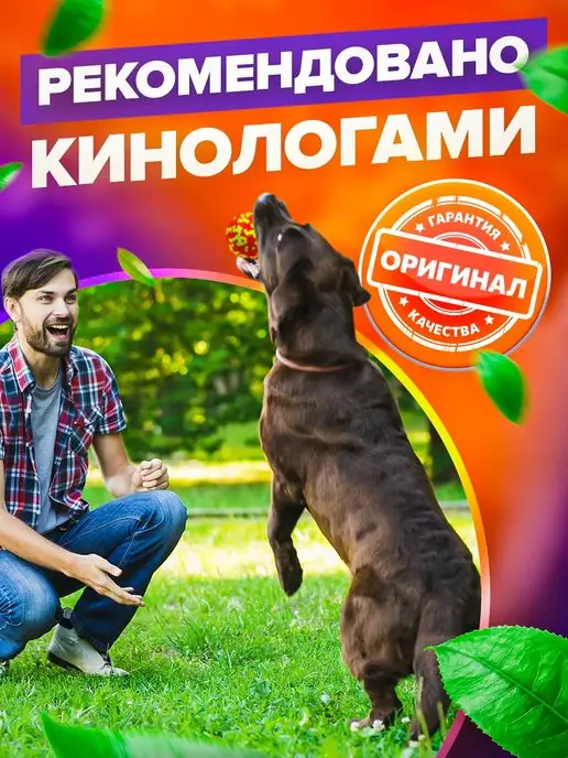 PETFORT Жевательная игрушка для собак, супер прочный мяч, вариант, фото 5