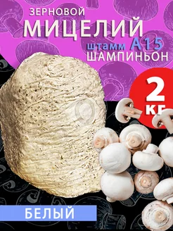 Мицелий шампиньон белый зерновой (А15) - 2 кг поГрибок 159448660 купить за 959 ₽ в интернет-магазине Wildberries