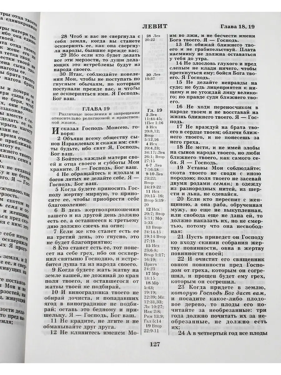 Библия. Без неканонических книг Российское Библейское Общество 159593118  купить за 1 525 ₽ в интернет-магазине Wildberries