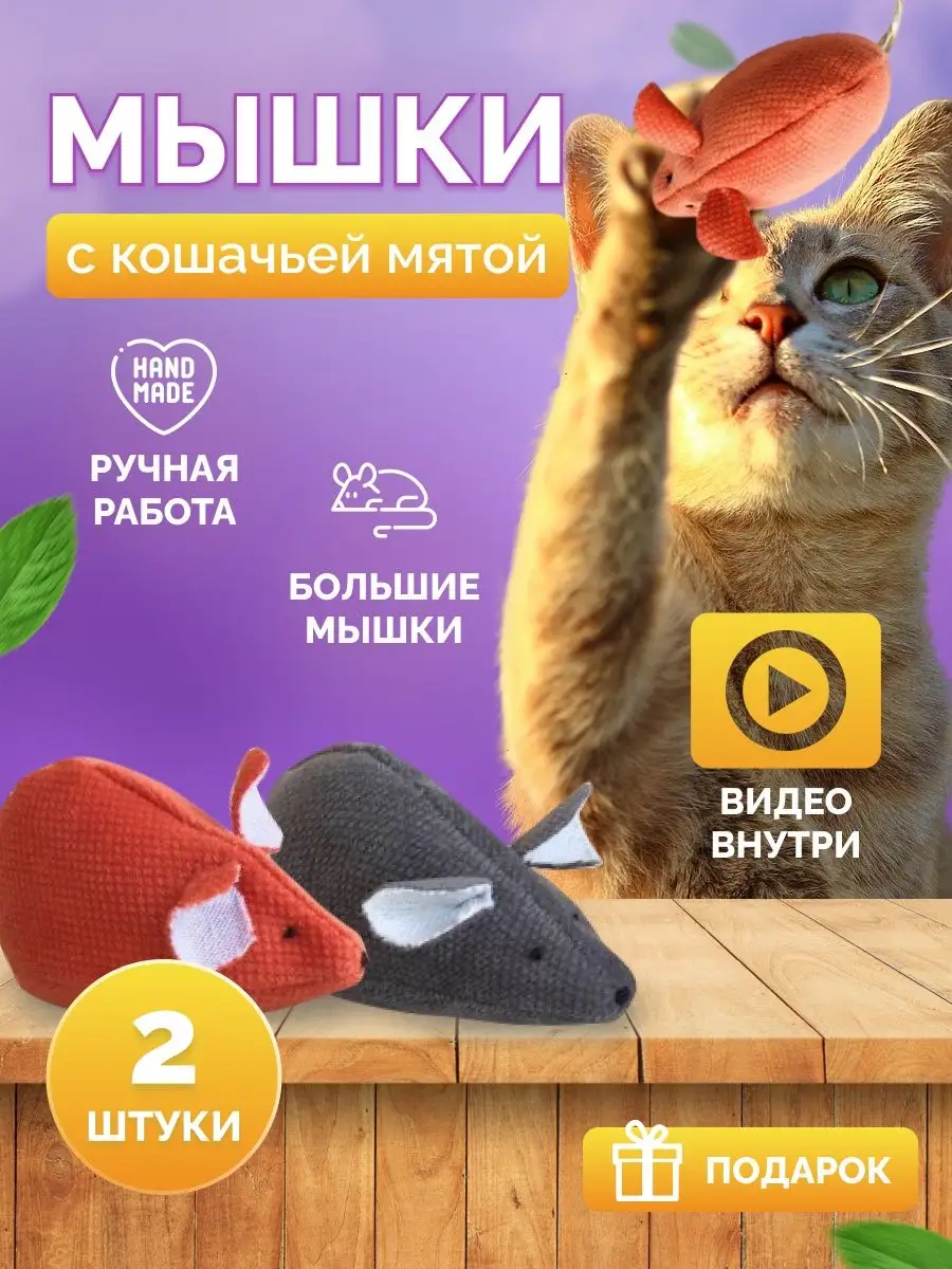 Игра для кошек: Мышь на экране