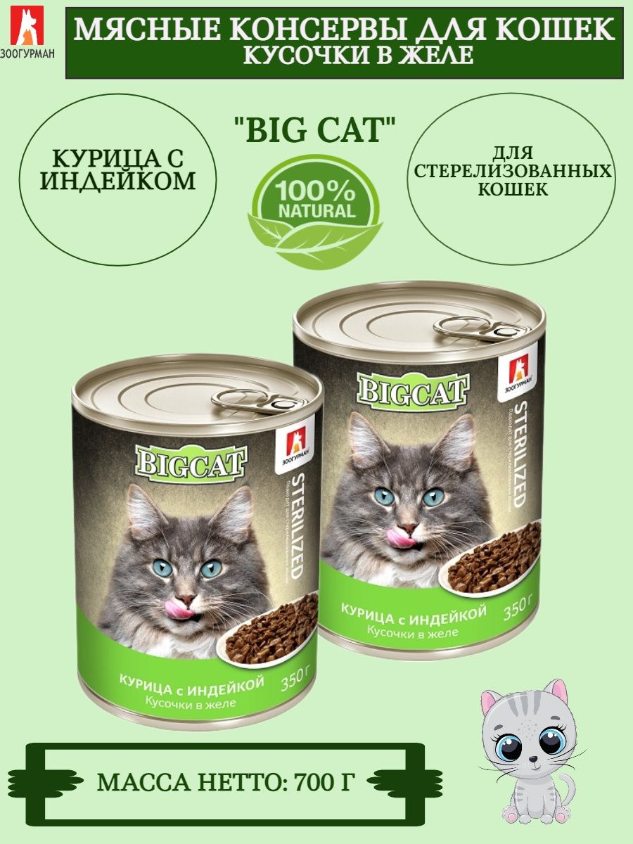 Консервы big Cat. Влажный корм для кошек. Зоогурман корм для кошек. Корм для кошек в магните.