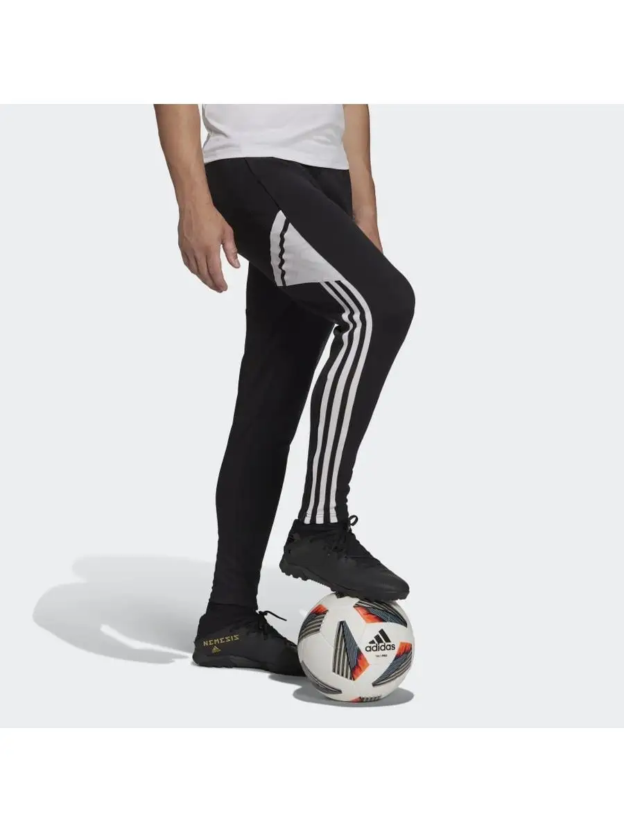 CONDIVO 22 TRAINING PANTS adidas 159657865 2 188 Wildberries