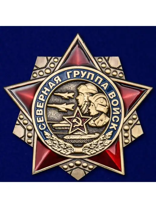 ШТУРМОВИК Знак Северная группа войск