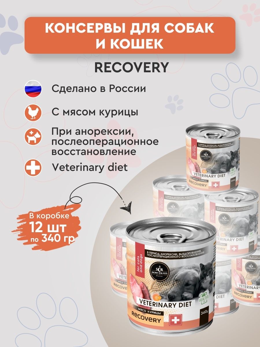 Recovery для собак.