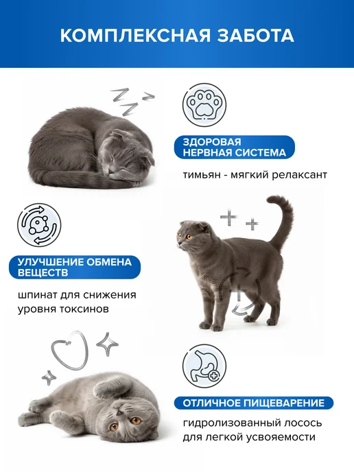 Сухой корм DOCTRINE health starts with nutrition Кошек Белая для собак, лосось, рыба, 10 кг, фото 2
