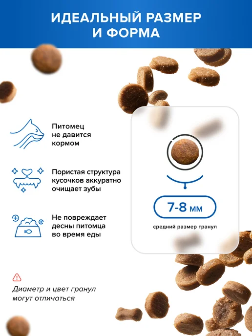 Сухой корм DOCTRINE health starts with nutrition Кошек Белая для собак, лосось, рыба, 10 кг, фото 3