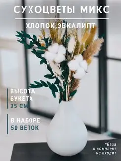 Сухоцветы для вазы, декора эвкалипт, хлопок натуральный TRAVA_DECOR 159742794 купить за 926 ₽ в интернет-магазине Wildberries