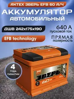 Аккумулятор автомобильный 60 12v прямая EFB Зверь АКТЕХ 159761681 купить за 8 484 ₽ в интернет-магазине Wildberries