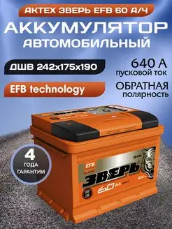 Аккумулятор автомобильный 60 12v обратная EFB Зверь АКТЕХ 159762670 купить за 6 906 ₽ в интернет-магазине Wildberries