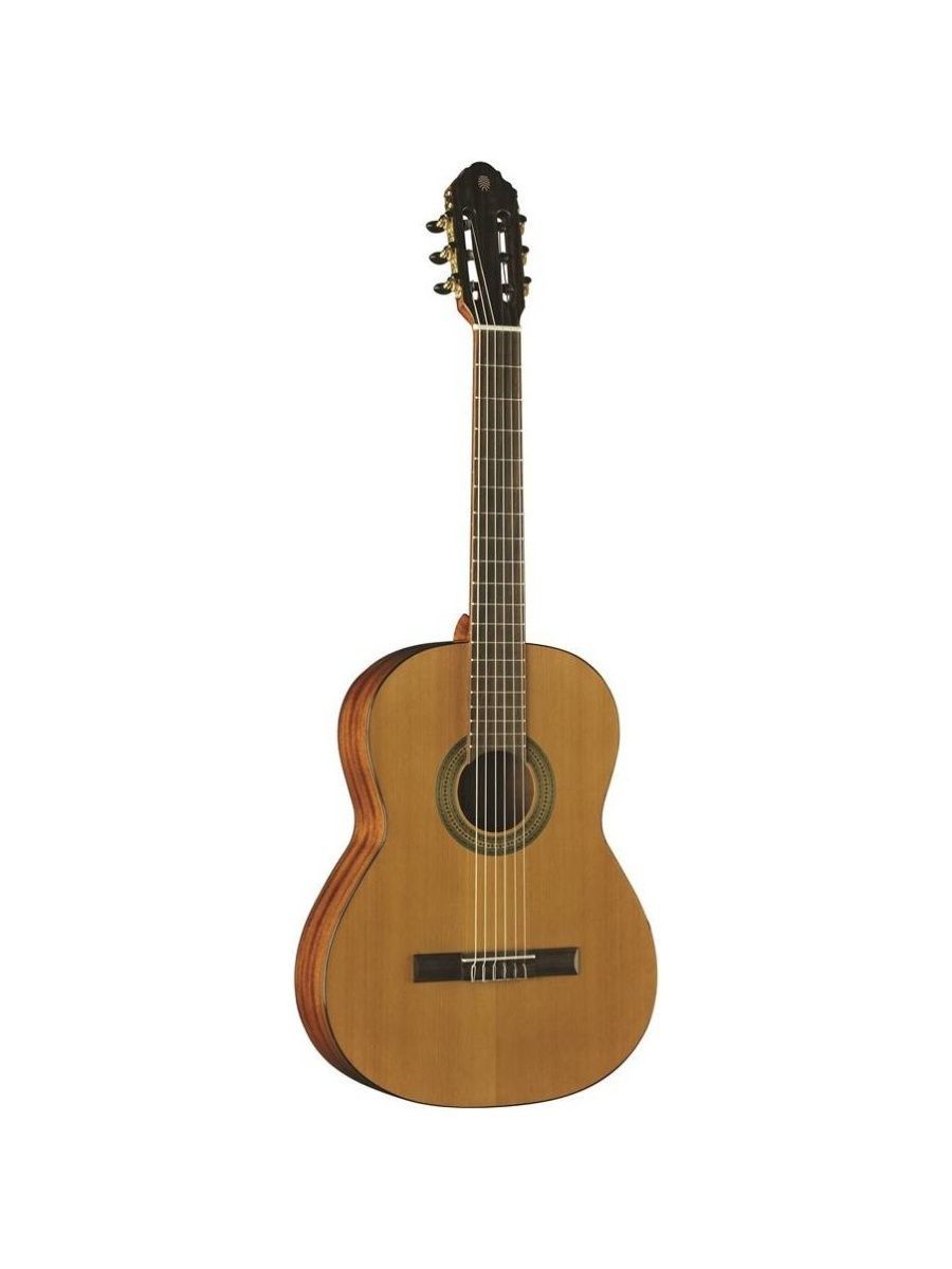 Sigma ste. Классическая гитара Cremona 4655. Гитара-Fender CN-140sce Thinline. Cremona 4655 размер 4/4. Strunal 4655-4/4.