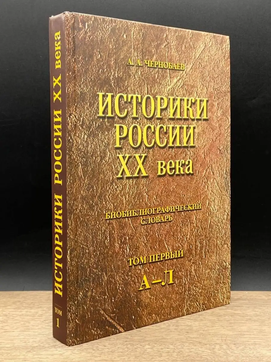 Историки России XX века. Том первый. А-Л Саратов 159884414 купить за 125 ₽  в интернет-магазине Wildberries