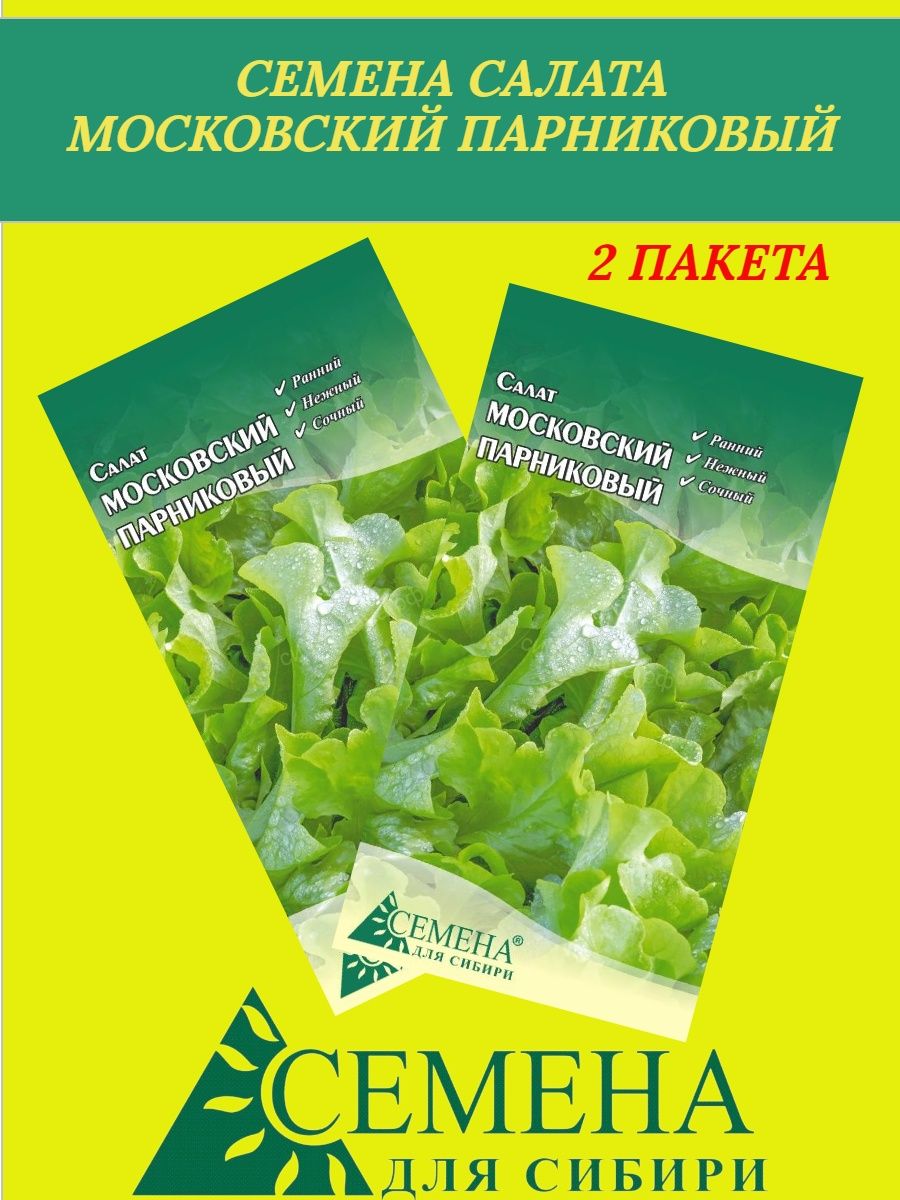Сорт салата московский парниковый. Салат Московский парниковый. Салат Московский парниковый фото. Московский парниковый ООО Арганик салат. Московский парниковый ООО Арганик салат фото.