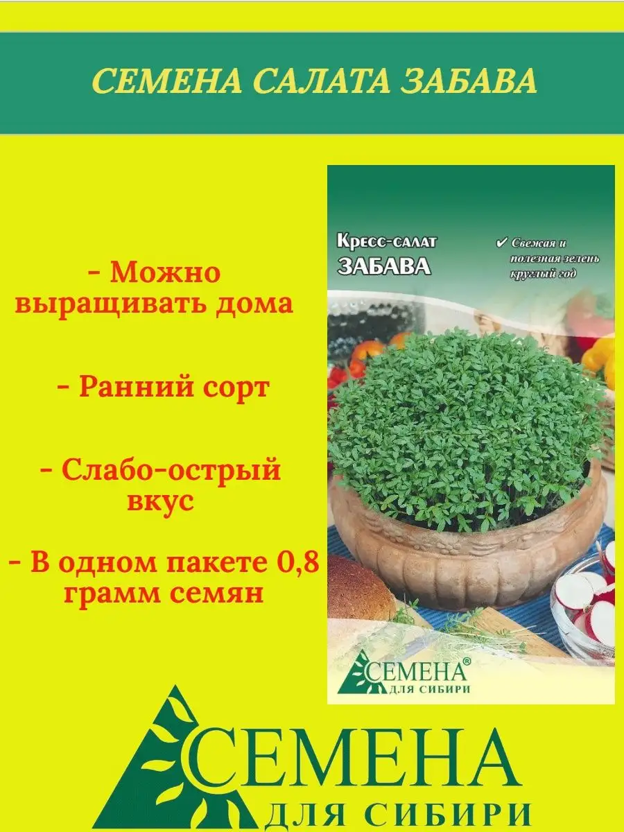 Семена салата ЗАБАВА Семена для Сибири 159937765 купить за 91 ₽ в  интернет-магазине Wildberries