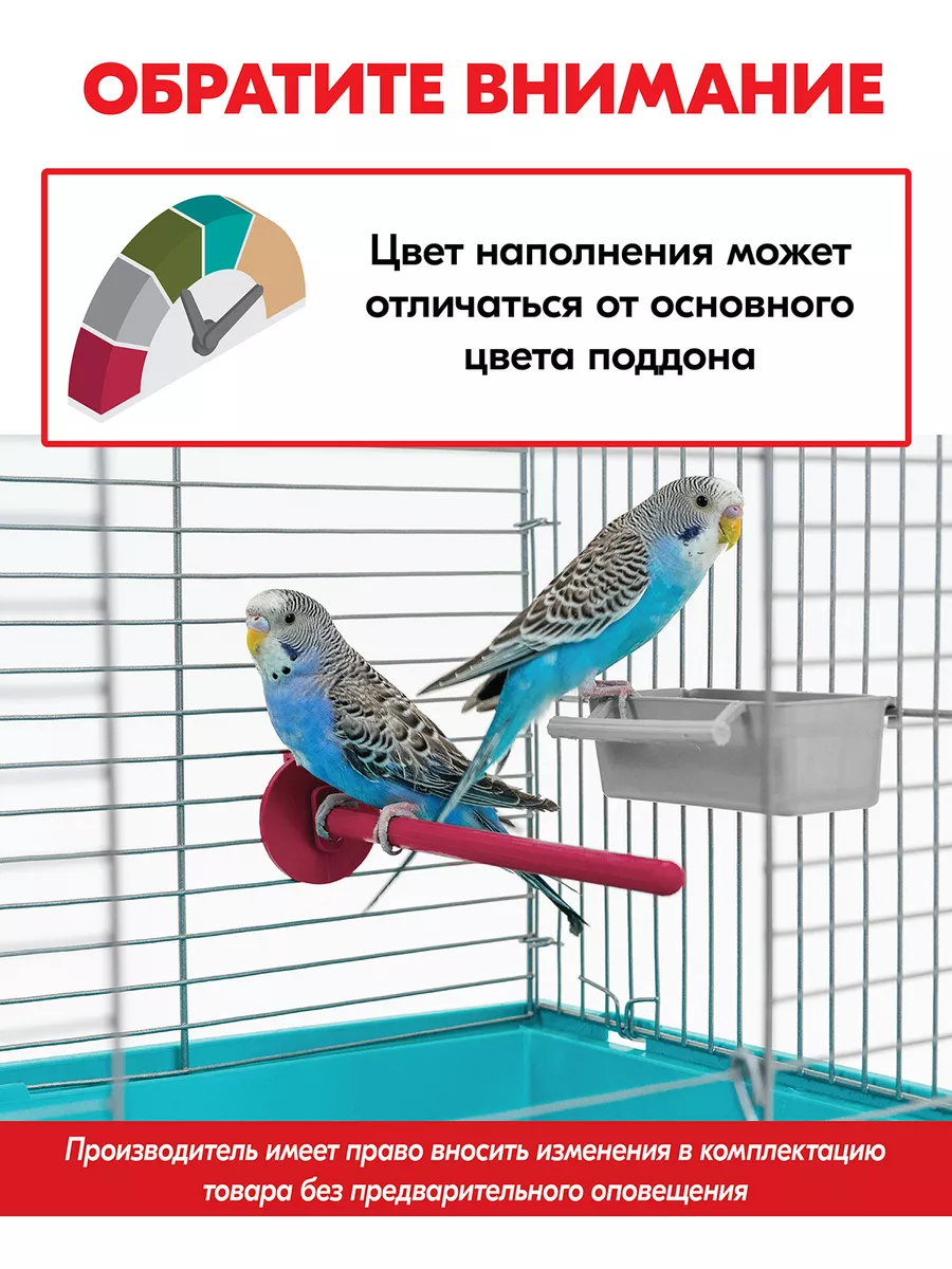 Клетки для попугаев: виды, обустройство, расположение, уборка