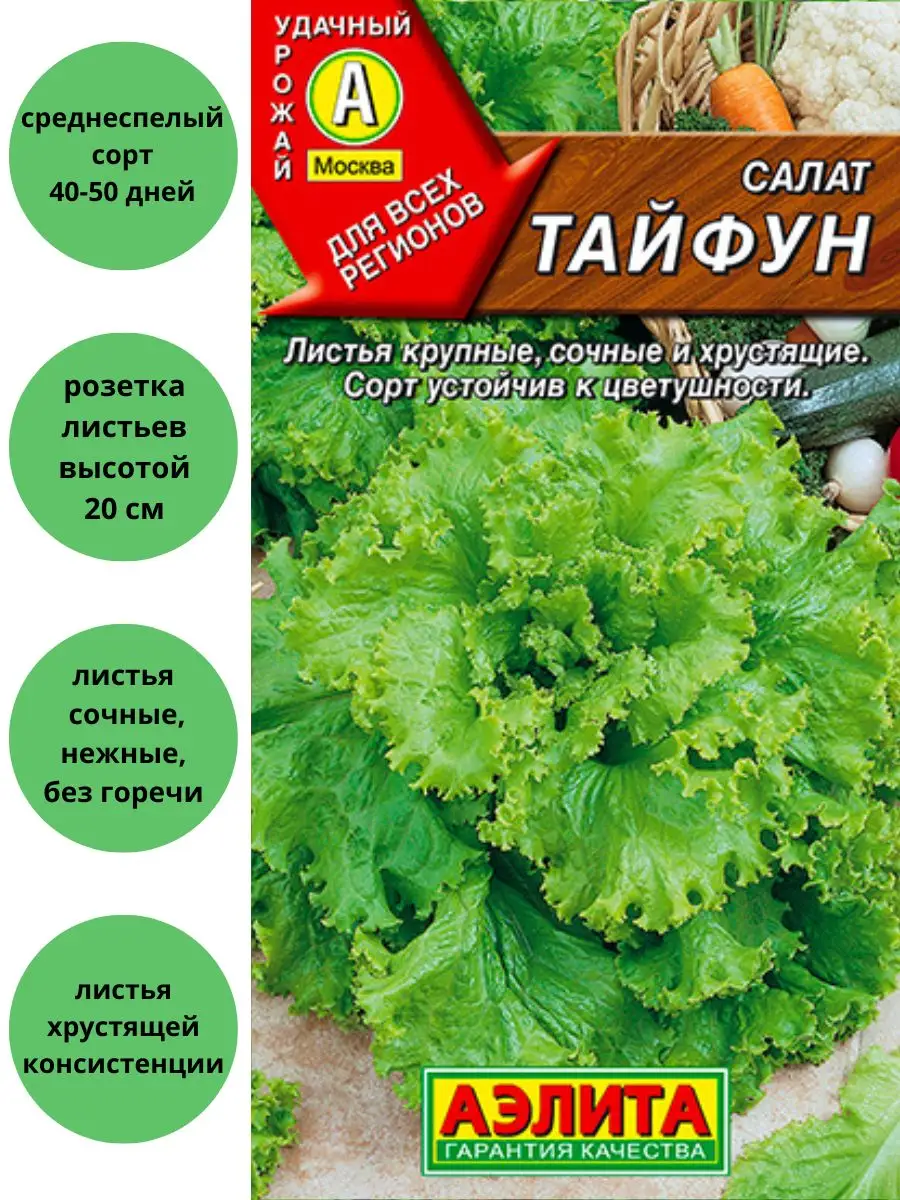 Салат Тайфун листовой